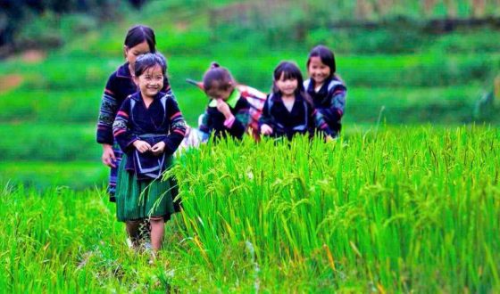SAPA 2 DAYS 1 NIGHT ( Night Bus +Stay In Homestay )