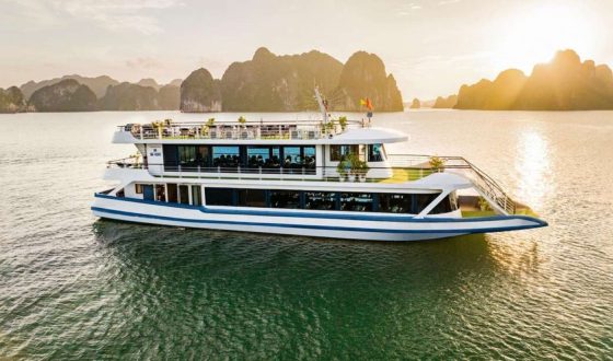 Halong Bay Luxury Day Trip (Limousine & Buffet Lunch)